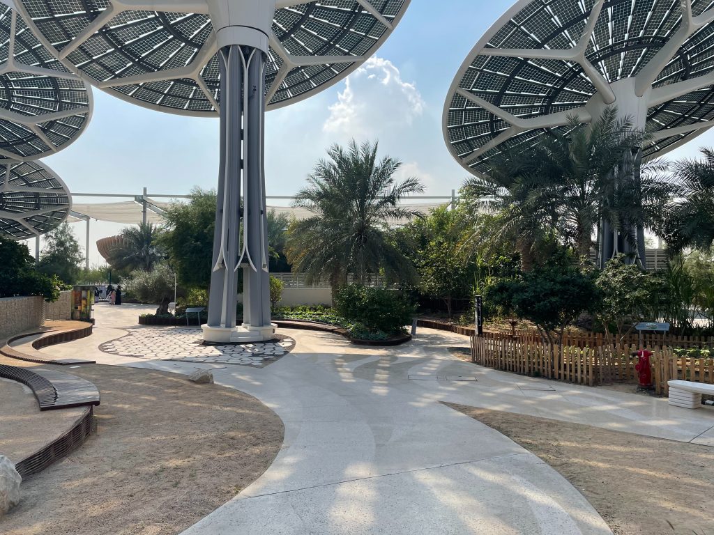 Image of a recreated wetland at the Expo City Dubai